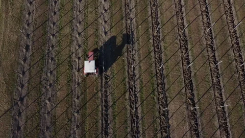 Plowing harrowing between rows of vineyard Stock Footage 151553380