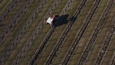 Plowing harrowing between rows of vineyard Vídeos de archivo 151553424