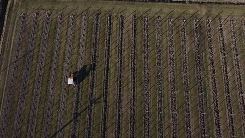 Plowing harrowing between rows of vineyard Vídeo Stock 151553506