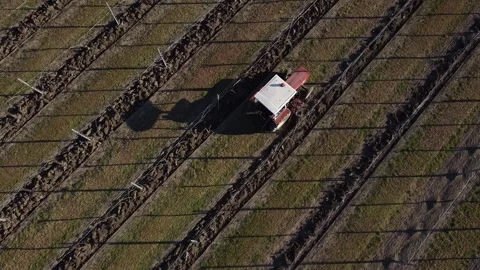 Plowing harrowing between rows of vineyard Stock-Footage 151553594
