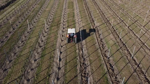 Plowing harrowing between rows of vineyard Stock Footage 151553814