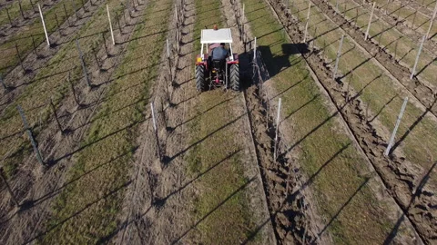 Plowing harrowing between rows of vineyard Stock Footage 151553815