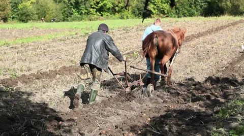Plowing The Land Stock Footage 39384982