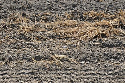 Plowing mowed cornfield Stock Photos
