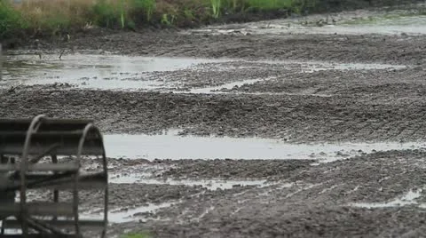 Plowing paddy field Stock Footage 20465310