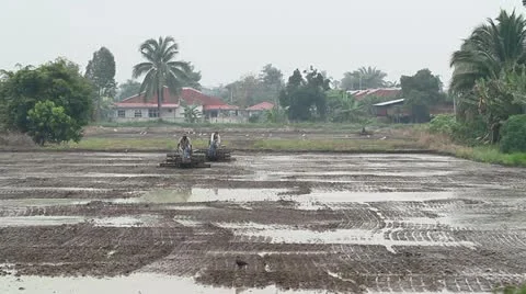 Plowing paddy field Stock Footage 21364509