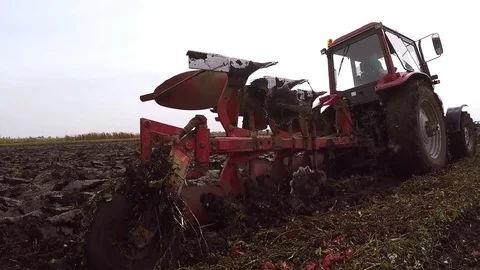 Plowing of paprika field on cloudy fall day. Dolly gimbal video. Stock Footage 84177236
