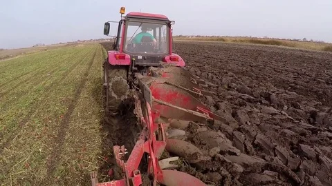 Plowing of paprika field on cloudy fall day. Dolly gimbal video. Stock Footage 84177627
