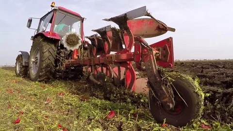 Plowing of paprika field on cloudy fall day. Dolly gimbal video. Stock Footage 84184182