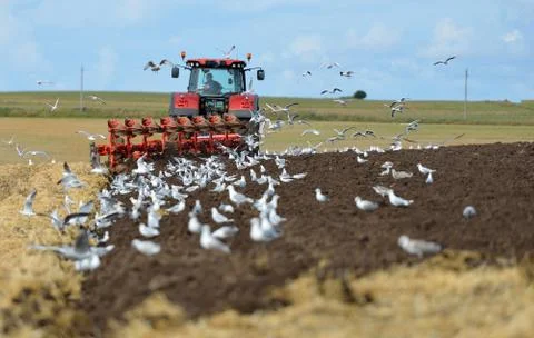 Plowing Stock Photos