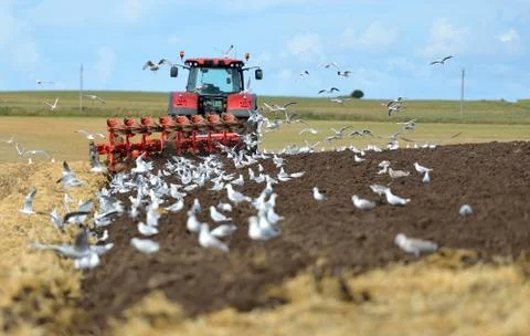 Plowing Stock Photos