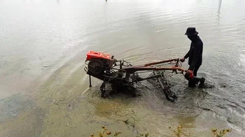 Plowing the rice fields using tractors Stock Footage 325955084