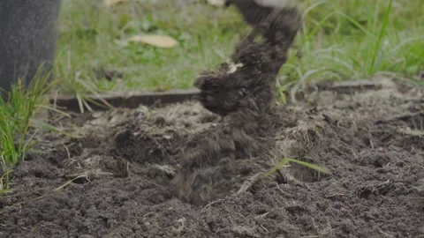 Plowing the soil in the garden before winter Stock Footage 143516569