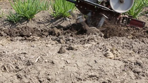 Plowing the soil with a motoblock 库存影片 76365506