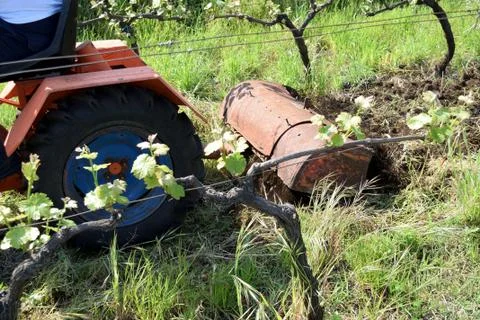 Plowing of the soil with old rotary hoe Fotos Stock