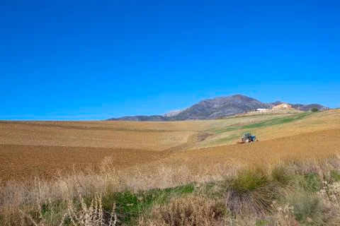 Plowing soil Stock Photos