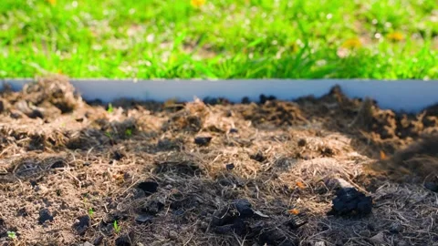 Plowing the soil in a vegetable garden bed with a flat cutter, close-up Stock Footage 308404959