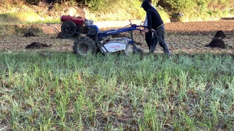 Plowing time 動画素材 143183318