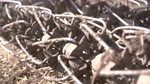 Plowing tractor closeup Stock Footage 60114143