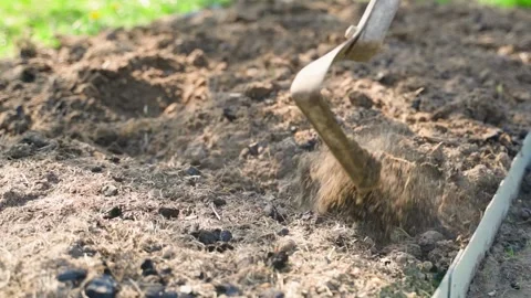Plowing a vegetable garden bed with a flat cutter close-up in slow motion Stock Footage 310765547