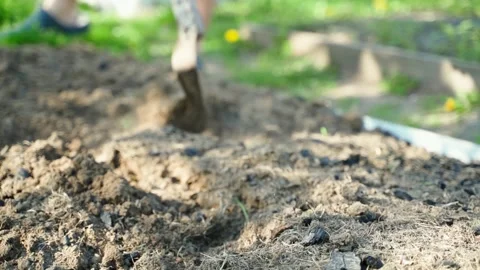 Plowing a vegetable garden bed with a flat cutter, slow motion Video stock 311108532