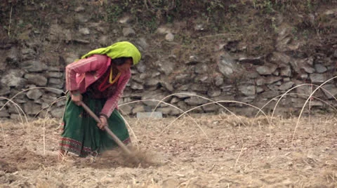 Plowtail woman Nepal Stock Footage 24951543