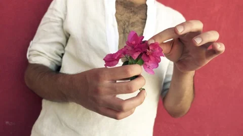 Pluck leaves from flower Stock-Footage 40429177