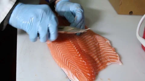 Plucking bones from fish filet Stock Footage 71009456