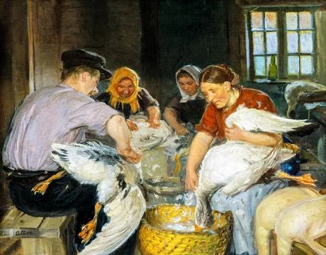 Plucking the Geese.. Stock Illustration