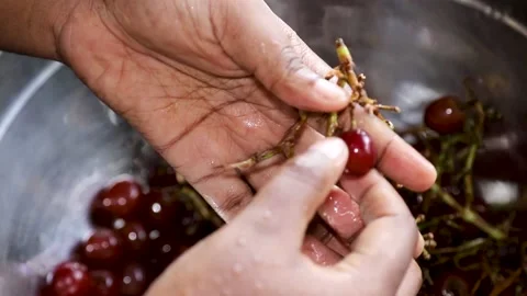 Plucking grapes off stem Stock Footage 194350858