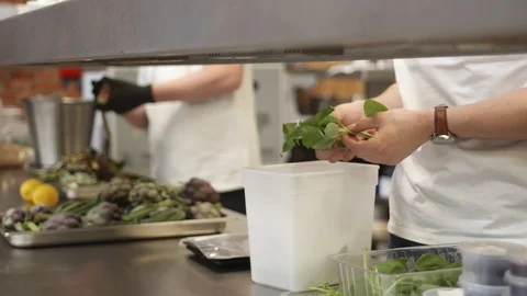 Plucking herbs in the kitchen Stockbeeldmateriaal 92062566