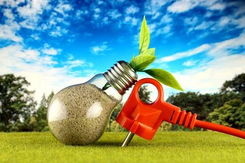 Plug and plant growing inside the light bulb with field and blue sky backgr.. Stockfoto's