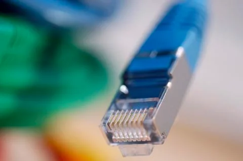 Plug of a blue network cable for computer Stock Photos