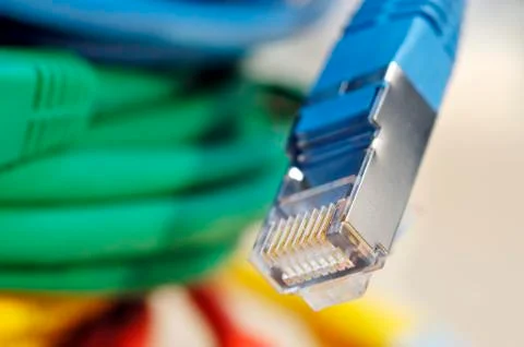 Plug of a blue network cable for computer Fotos Stock
