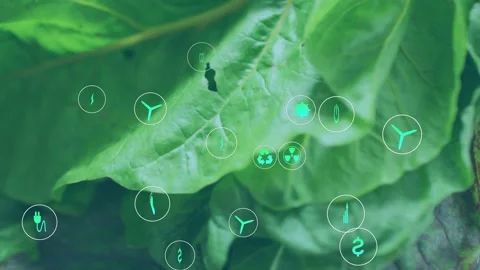 Plug icon appearing, eco icons clustering and cascading over leaf, visualizing Stock Footage 335212159