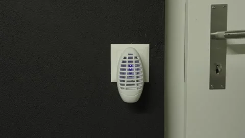 Plug-In Mosquito Killer Glowing Blue in Darkness Stock Footage 346753586