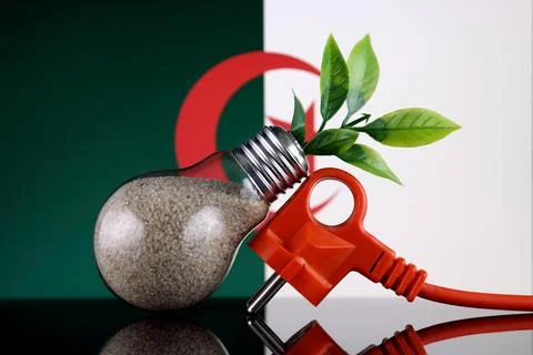 Plug, plant growing inside the light bulb and Algeria Flag. Green eco renew.. Stock Photos