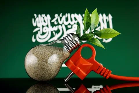 Plug, plant growing inside the light bulb and Saudi Arabia Flag. Green eco .. 스톡 사진