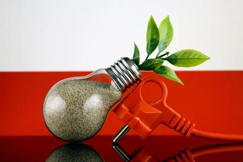 Plug, plant growing inside the light bulb and Poland Flag. Green eco renewa.. Stock Photos