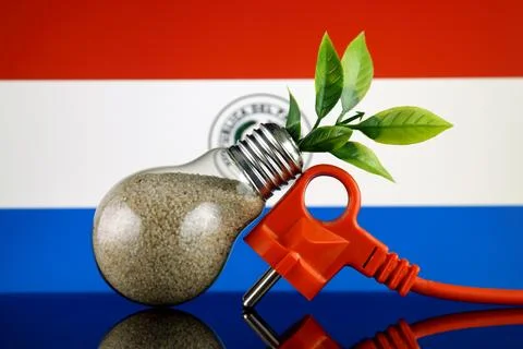 Plug, plant growing inside the light bulb and Paraguay Flag. Green eco rene.. Stock Photos