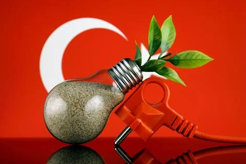 Plug, plant growing inside the light bulb and Turkey Flag. Green eco renewa.. Stock Photos
