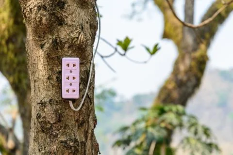 Plug socket on tree, ecology concept. Stock Photos