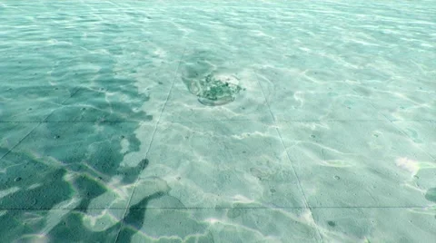 Plug Trap v1 Stock Footage 45448733