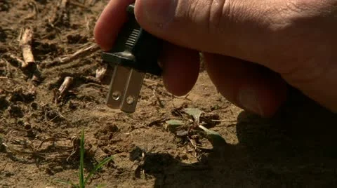 Plugging 110v plug to dry soil. Stock Footage 20511235