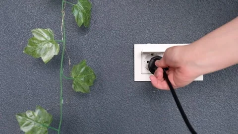 Plugging in a Power Cord to a Flip Cover Outlet with Artificial Vine in the Back Video stock 274898796