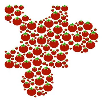 Plugin Composition of Tomato Stock Illustration