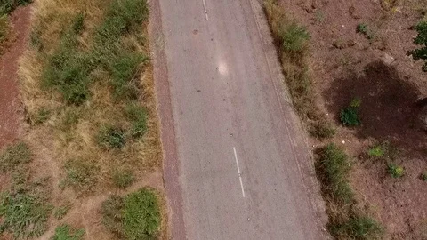 Pluging road holes with tree branches Stock Footage 80796881