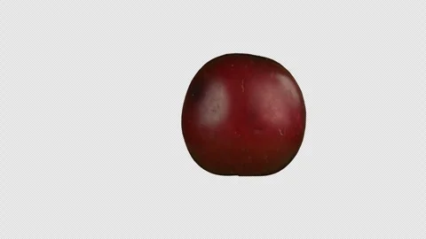 Plum (alpha channel) Video stock 249266418