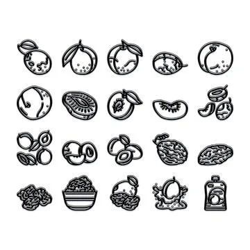 Plum and prune fruit line art icon collection Stock Illustration