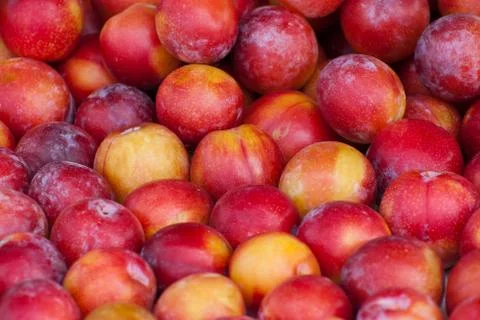 Plum, background. Stock Photos